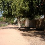 Walking Trail 150x150 ARIZONA Scottsdale Camelback Resort